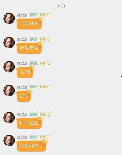 娱乐吃瓜合成一个词怎么说,一词合成，揭秘娱乐圈幕后故事