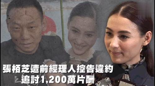 吃瓜娱乐38,揭秘娱乐圈幕后故事，带你领略明星真实生活