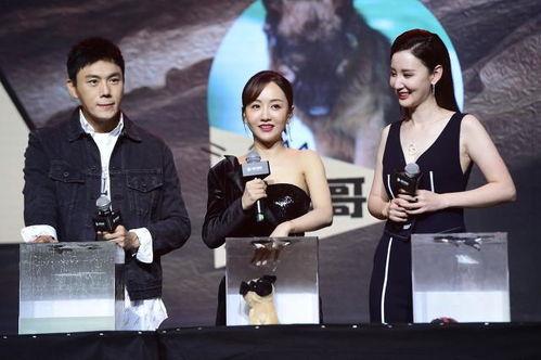 娱乐圈吃瓜爆料回放在哪看,揭秘热门事件幕后真相