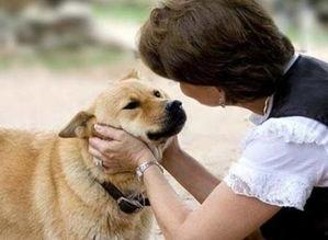 娱乐吃瓜养狗视频,娱乐吃瓜两不误，萌宠视频圈粉无数