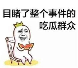 娱乐吃瓜酱造谣小说阅读,揭秘网络造谣小说背后的真相